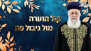 קול התורה מול ניבול פה  | ההתמודדות של בחורי הישיבות בכלא הצבאי - מרן הראש''ל הרב יצחק יוסף שליט''א (מורשת מרן) - התמונה מוצגת ישירות מתוך אתר האינטרנט יוטיוב. זכויות היוצרים בתמונה שייכות ליוצרה. קישור קרדיט למקור התוכן נמצא בתוך דף הסרטון
