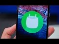 How to flash Android 6.0 Marshmallow (Nexus 5/6/7 ...