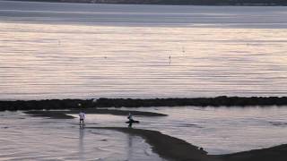 Le front caché sur tes genoux