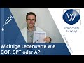 Wichtige Leberwerte Erhöht GOT GPT Gamma GT Verbessern Senken Bedeutung Ursachen Verstehen