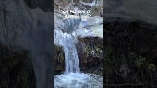 La paz que se respira aquí