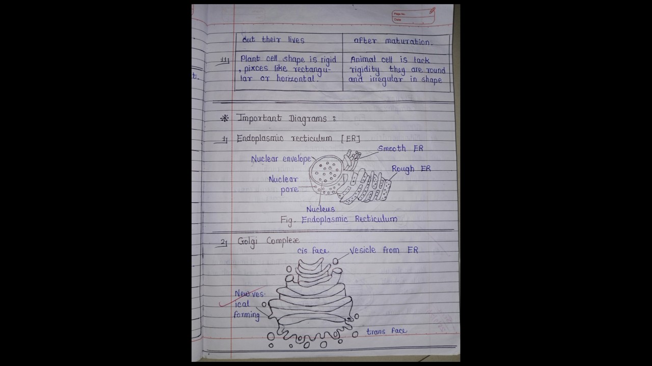 Class 11th Biology Notes| Chapter 5. Cell Structure and Organisation #biology #notes