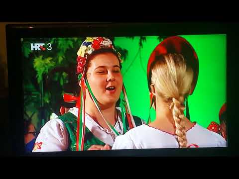 KUD "JANKOVCI" STARI JANKOVCI   MEĐUNARODNA SMOTRA FOLKLORA  ZAGREB