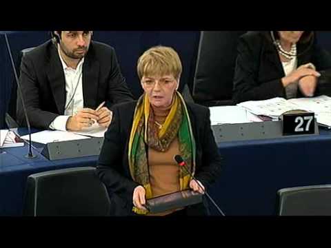 Linke Fraktionsvorsitzende Gabi Zimmer: EU hat ein Systemproblem