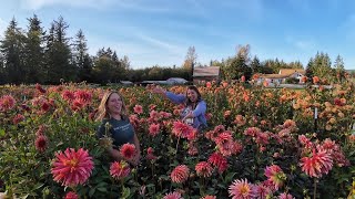She Quit The Corporate World  to Become A Flower Farmer! Now She Has The Most Romantic Flower Farm 😍
