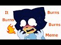It Burns Burns Burns Meme Bluey Feat Bandit Bingo Flipaclip