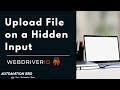 How To Upload File On A Hidden Input WebdriverIO