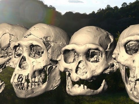 Evolution revolution: New discovery may rewrite human history