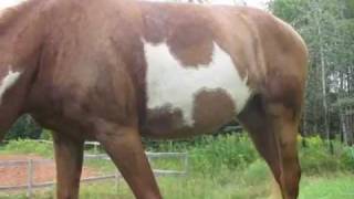 \\ COUGHING up COLOURS //