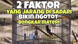 Download lagu 2 important factors that make the magpie robin play by unloading material mp3
