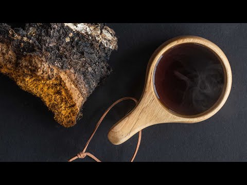 How to Make Chaga Tea: A Skeptics View
