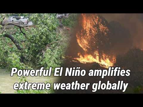 Powerful El Niño amplifies extreme weather globally