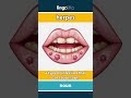 herpes (noun) - definition and usage in English