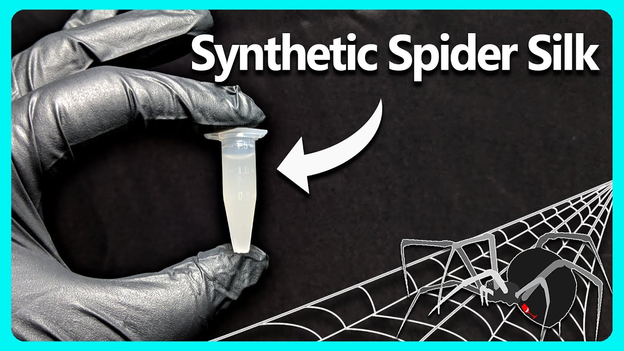 I Grew Real Spider Silk Using Yeast