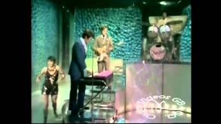 Dave Clark Five    Mulberry Tree