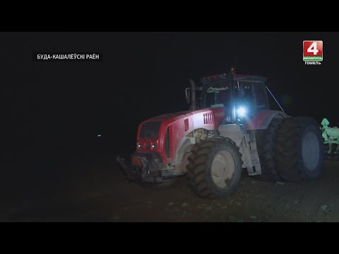 Сяўба азімых зерневых культур на Гомельшчыне перасягнула экватар видео