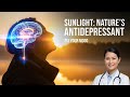 How Sunlight Heals Your Brain Backed By Science