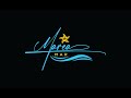 How To Create Perfect Signature LOGO In Illustration Tutorial Video