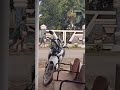 Orang Gila Kena Mental Shorts