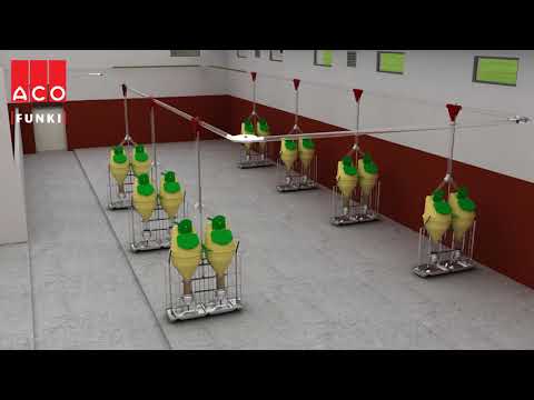 Interval Feeding System for pigs - FunkiNet Dry Single
