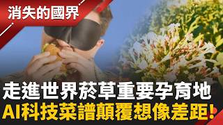 深入世界重要菸草孕育地美索不達米亞平原！AI跨界植物打造「非奶牛奶.非肉香腸」！吃袋鼠肉也能愛地球？韓人瘋經典三合一「快咖啡」！｜李文儀 主持｜【消失的國界PART2】20260831｜#三立新聞