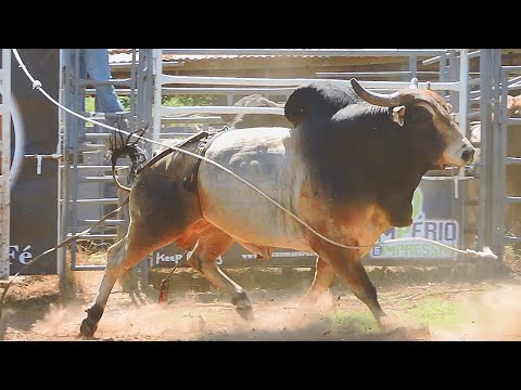VISITANDO A CIA DE RODEIO ZÉ CURY 2021 / PARTE 02 (1º DIA DE TREINO)