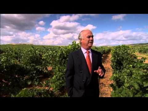 LAS CATEDRALES DEL VINO - TRAILER