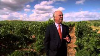 LAS CATEDRALES DEL VINO - TRAILER