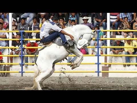 HACIENDA NÁPOLES RODEO MONTUBIO 2025, los mejores jinetes de rodeo del litoral ecuatoriano.
