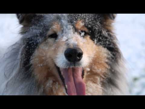 Happy birthday Samarah.