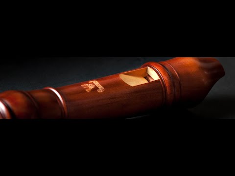 Como tocar flauta dulce sistemas de digitación alemán y barroco