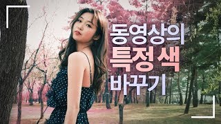 동영상의 특정 색상 아름답게 바꿔버리기 (프리미어/애펙)