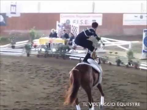 CVI Portogruaro 2016 - Volteggio - Ind 2* j M - 6° Filippo Facini