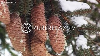 Top Christmas Songs - White Christmas