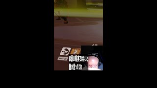 【OW日記】1試合0龍剣 雑魚ゲンジつるべ