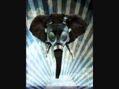 Feit'n - Radio Freestyle