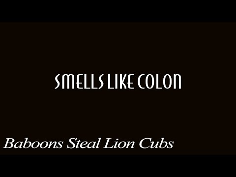 smellslikecolon - Episode 3: Baboons Steal Lion Cubs