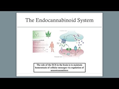 download lagu mp3 mp4 A Plus Knobody THC For PTSD, download mp3 A Plus Knobody THC For PTSD free download, download mp3 A Plus Knobody THC For PTSD