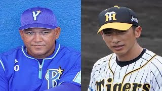 DeNAは劇的勝利も…専門家は投手起用に“疑問符”「野球にブレがないのは阪神の方」