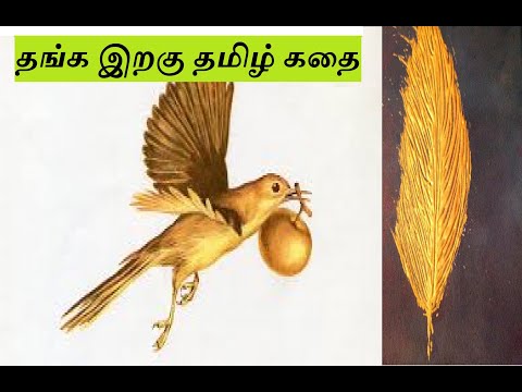 தங்க இறகு தமிழ் கதை  golden feather and greedy boy tamil moral story  full part | Audio books