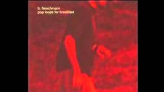 B. Fleischmann - The Flow