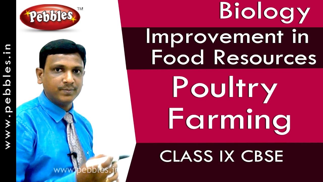 Poultry Farming : Improvement in Food Resources | Biology | Class 9 | CBSE