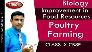 Poultry Farming : Improvement in Food Resources | Biology | Class 9 | CBSE