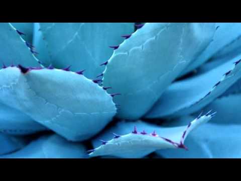 03 Mika Vainio - Onko Parts 1-11 (is it) [Touch]