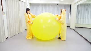 検証　気球（巨大）風船割り　Test: Popping a Giant Balloon