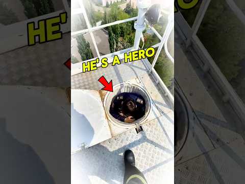Firefighters’ Courage You Won’t Believe #shorts