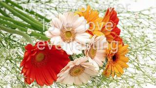 Say won't you say - Jennifer Knapp (lyrics)