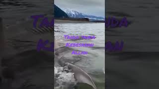 Download lagu Tanda tanda kebesaran allah swt yang terhampar di alam raya !! mp3