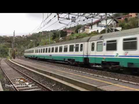 Tre Tartarughe in transito a Mignanego