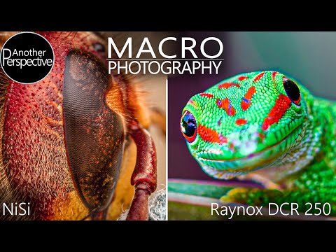 Macro Photography Tips with NiSi Closeup Lens + Raynox DCR-250
